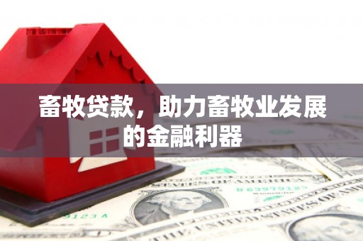 蒙自畜牧贷款，助力畜牧业发展的金融利器