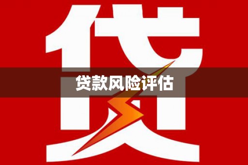 蒙自贷款风险评估