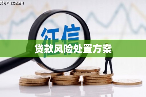 蒙自贷款风险处置方案