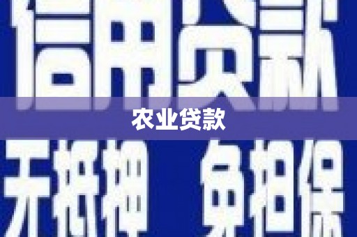 蒙自农业贷款
