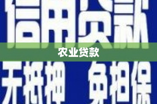 蒙自农业贷款