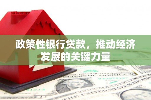 蒙自政策性银行贷款，推动经济发展的关键力量