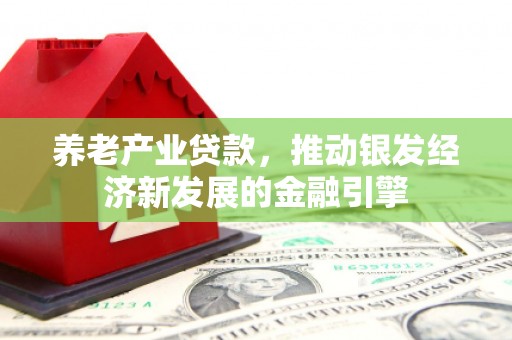 蒙自养老产业贷款，推动银发经济新发展的金融引擎