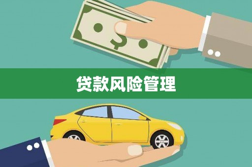 蒙自贷款风险管理