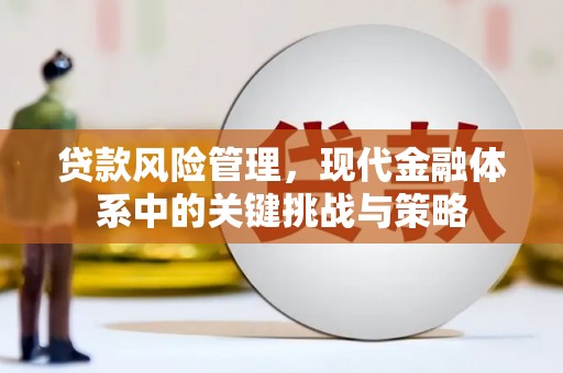 蒙自贷款风险管理，现代金融体系中的关键挑战与策略