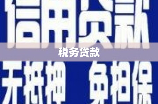 蒙自税务贷款