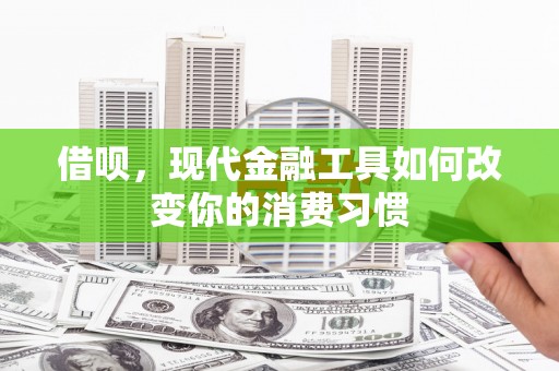 蒙自借呗，现代金融工具如何改变你的消费习惯