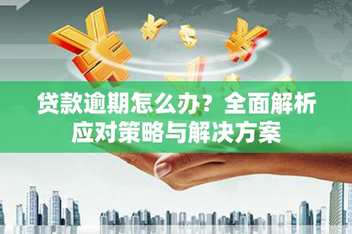 蒙自贷款逾期怎么办？全面解析应对策略与解决方案