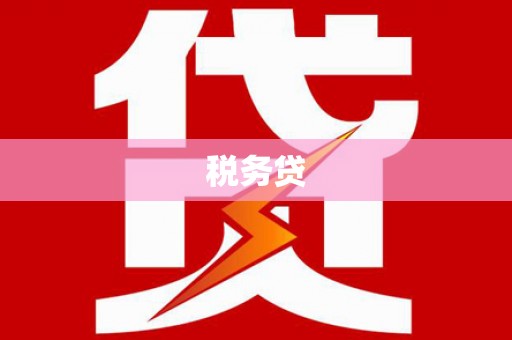 蒙自税务贷