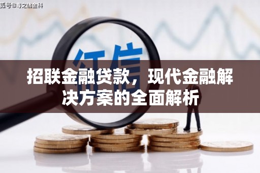 蒙自招联金融贷款，现代金融解决方案的全面解析