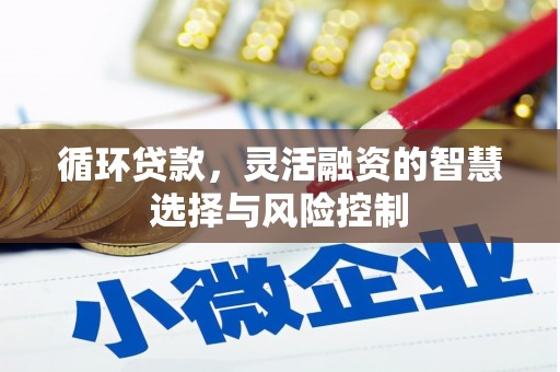 蒙自循环贷款，灵活融资的智慧选择与风险控制