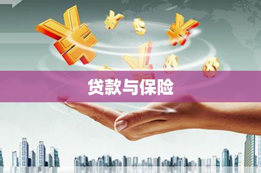 蒙自贷款与保险