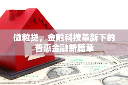 蒙自微粒贷，金融科技革新下的普惠金融新篇章