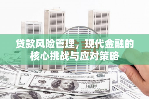 蒙自贷款风险管理，现代金融的核心挑战与应对策略
