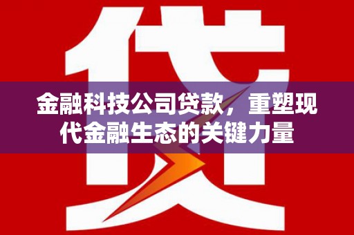 蒙自金融科技公司贷款，重塑现代金融生态的关键力量