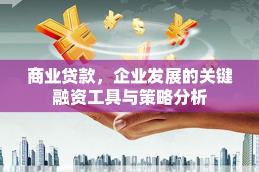 蒙自商业贷款，企业发展的关键融资工具与策略分析
