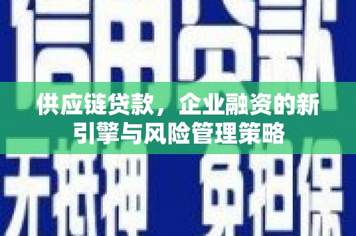 蒙自供应链贷款，企业融资的新引擎与风险管理策略