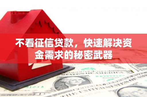 蒙自不看征信贷款，快速解决资金需求的秘密武器