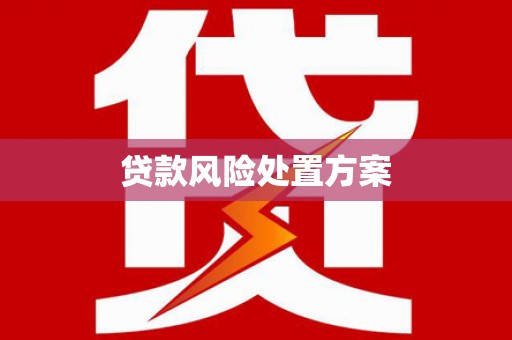 蒙自贷款风险处置方案