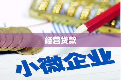 蒙自经营贷款