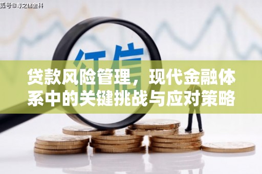 蒙自贷款风险管理，现代金融体系中的关键挑战与应对策略