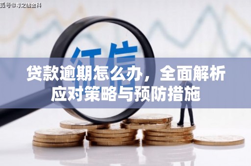蒙自贷款逾期怎么办，全面解析应对策略与预防措施