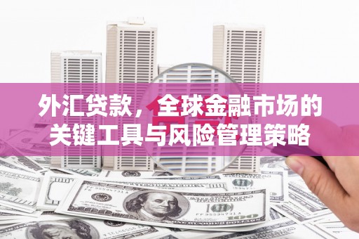 蒙自外汇贷款，全球金融市场的关键工具与风险管理策略