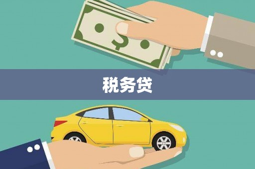 蒙自税务贷