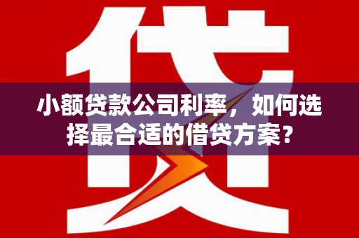 蒙自小额贷款公司利率，如何选择最合适的借贷方案？