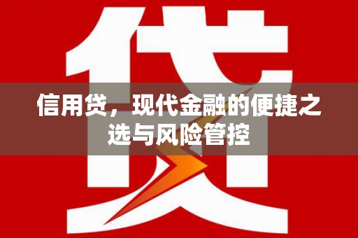 蒙自信用贷，现代金融的便捷之选与风险管控