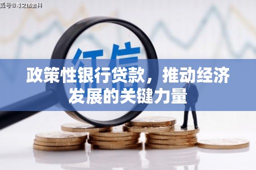 蒙自政策性银行贷款，推动经济发展的关键力量