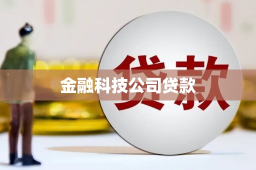蒙自金融科技公司贷款
