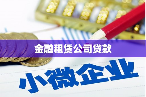 蒙自金融租赁公司贷款