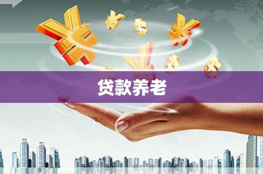 蒙自贷款养老