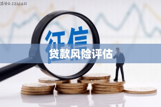 蒙自贷款风险评估