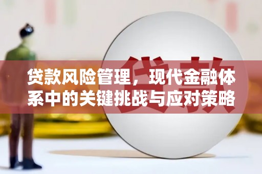 蒙自贷款风险管理，现代金融体系中的关键挑战与应对策略