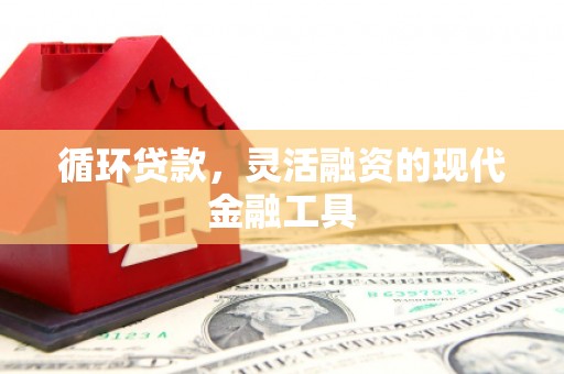 蒙自循环贷款，灵活融资的现代金融工具