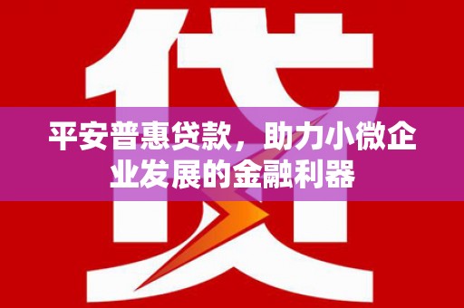 蒙自平安普惠贷款，助力小微企业发展的金融利器