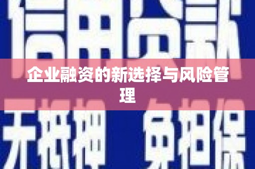 蒙自企业融资的新选择与风险管理