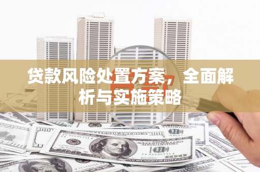 蒙自贷款风险处置方案，全面解析与实施策略
