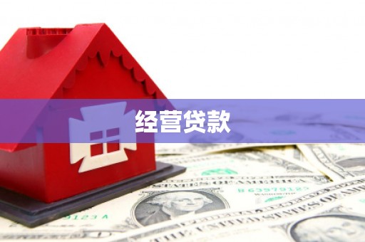 蒙自经营贷款