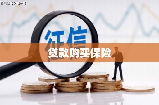 蒙自贷款购买保险