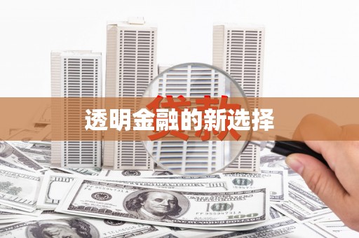 蒙自透明金融的新选择