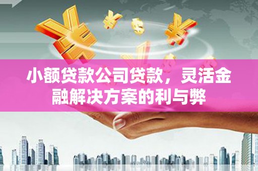 蒙自小额贷款公司贷款，灵活金融解决方案的利与弊